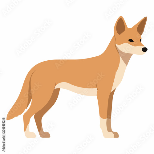 Tableau sur toile Illustration of a dingo standing profile view.