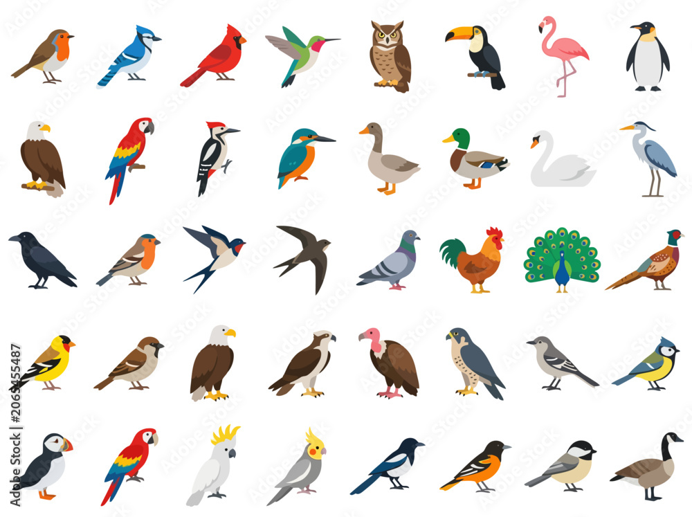 Obraz premium A comprehensive collection of various bird species illustrated in a flat vector style.