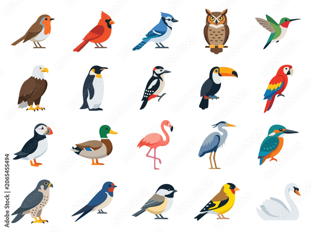 Fototapeta premium A collection of various colorful bird species illustrated in a flat vector style.