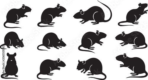 Canvastavla Set of black rat silhouettes vector illustration for design