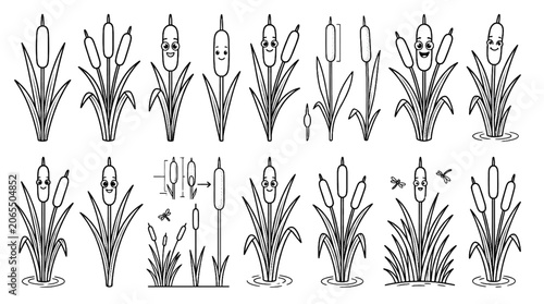 Tableau sur toile Black and white cartoon cattail Typha latifolia aquatic plant vector illustratio