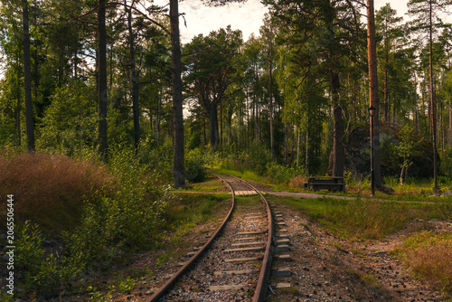railway in the forest