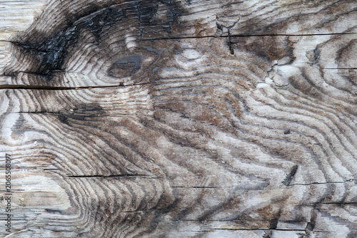 Swirling grain patterns and deep cracks highlight wood's natural aging. Earthy tones and rugged surface convey rustic authenticity and timeless character