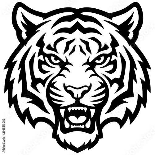 tiger portrait