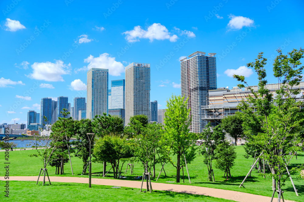 Obraz premium 東京・豊洲公園とタワーマンションが広がる湾岸風景