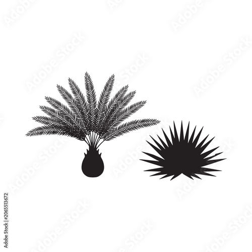 Fotografija Palm and agave silhouettes against a white background