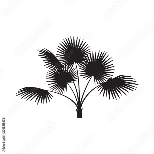 Φωτογραφία Palm fronds silhouette against a white background botanical illustration