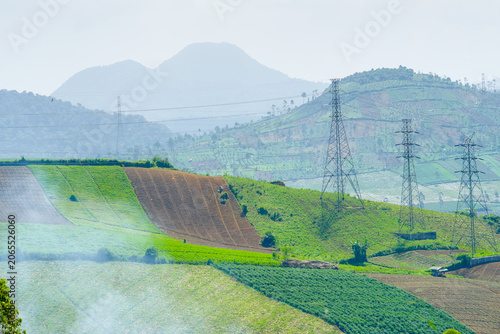 Tableau sur toile Scenic view of agricultural terraced fields on the slopes of a mountain in indon