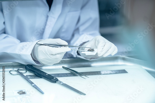 Bild auf Leinwand Histopathology technician preparing tissue biopsy for microscopic processing