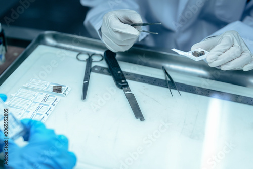 Photos Histopathology technician preparing tissue biopsy for microscopic processing