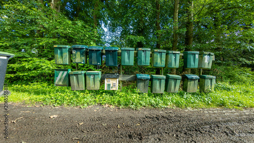 Multiple mailboxes along a rural road in the Netherlands