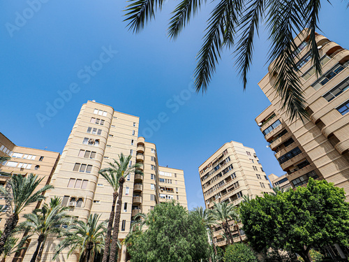 View in Alicante with Palm Trees and Mediterranean Architecture in Spain