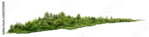 Foto grass isolated on white background/Ultra-sharp panoramic forest landscape isolated on a transparent background, featuring lush green trees, shrubs, and natural vegetation