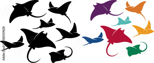 Photography stingray fish vector collection