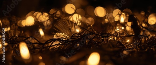 Warm bokeh lights entwined ...