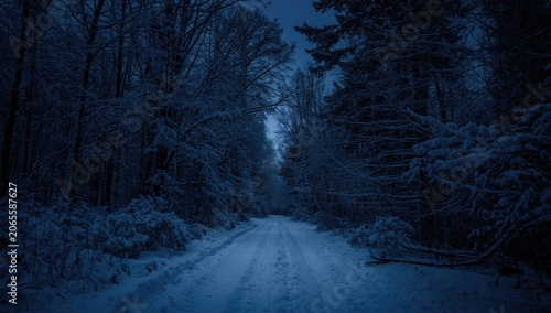 Snow-covered path through d...