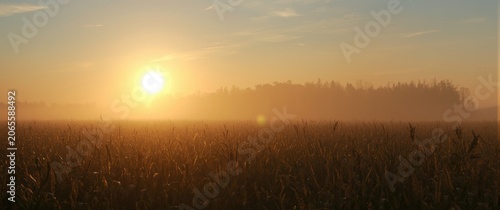 Sunrise over foggy field wi...