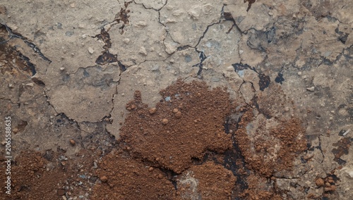 Textured cracked earth surf...