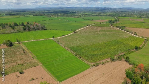 Aerial View of Vast Green Farmland with Countryside Road and Mountain Background