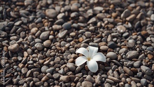 White flower resting on smo...