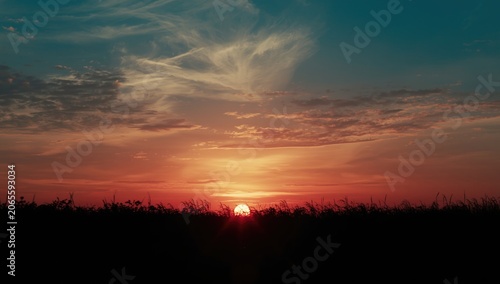 Sunset over a grassy field ...
