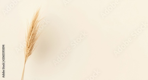 Soft pale textured backgrou...