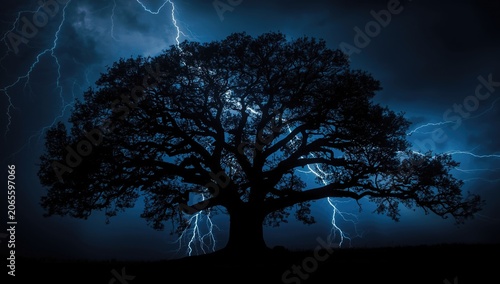 Oak tree split by intense l...
