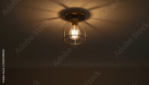 Hanging light fixture casti...