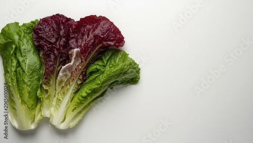 Romaine and red leaf lettuc...