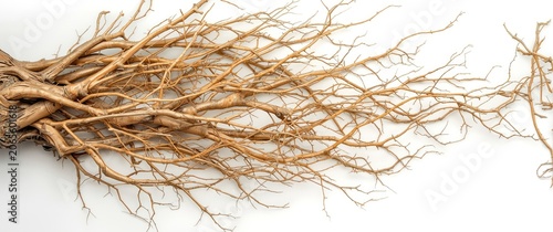 Intricate network of dried ...