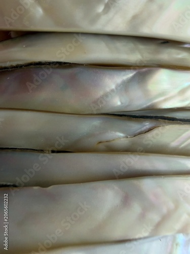 Close-up abstract full frame shot of mother-of-pearl shells showcasing their iridescent sheen and natural organic texture. The smooth, wavy surface displays subtle variations in color, from creamy whi