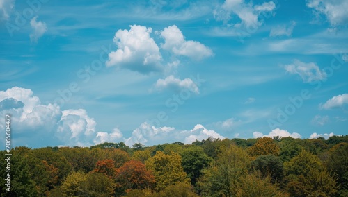 Colorful autumn trees under...
