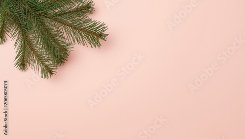 Pine branch on a soft pink ...