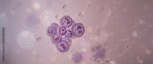 Microscopic view of purple ...