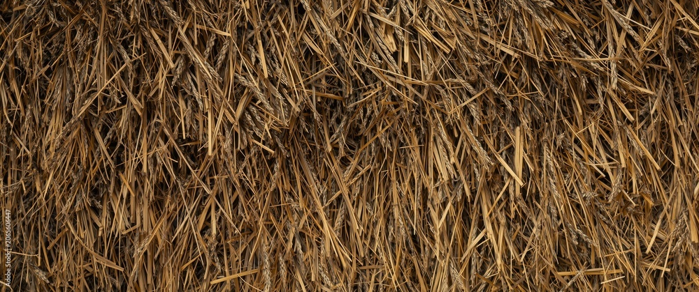 Obraz premium Stack of dry straw leftover from rice grain extraction