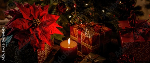 Poinsettia flower and wrapp...