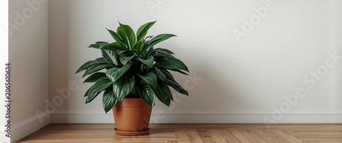 Lively green potted plant w...
