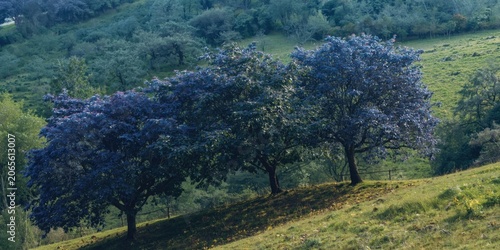 Hilly countryside featuring...