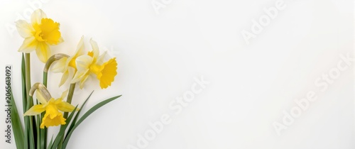 Yellow and white artificial...
