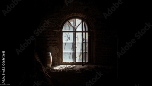 Arched window with a view o...