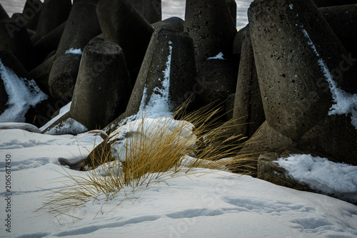 snowy stones at the pier