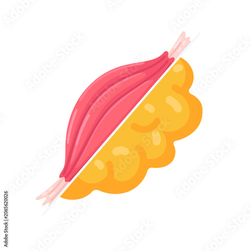 Detailed anatomical illustration showcasing the distinct difference between lean muscle and adipose fat tissue