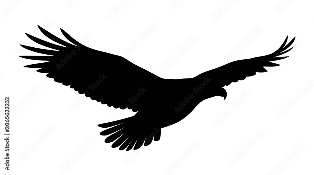 Fototapeta premium Black eagle silhouette, flying bird icon, wildlife symbol, vector graphic