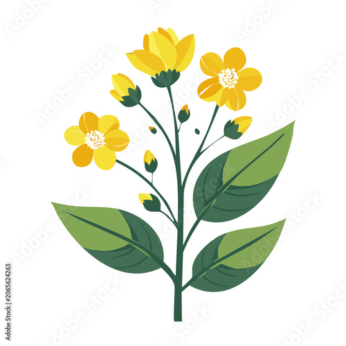 Yellow flowers with green leaves flat illustration