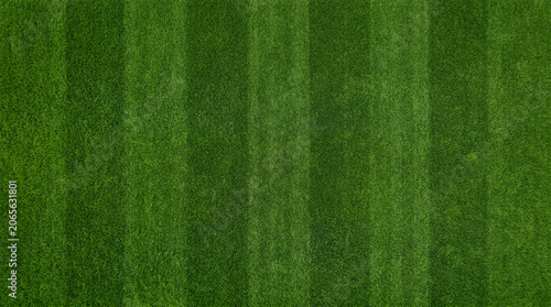 Foto Perfectly manicured green grass field with stripes from mowing