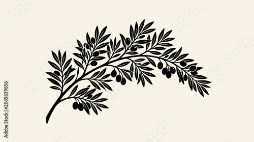 Black silhouette of a juniper branch.