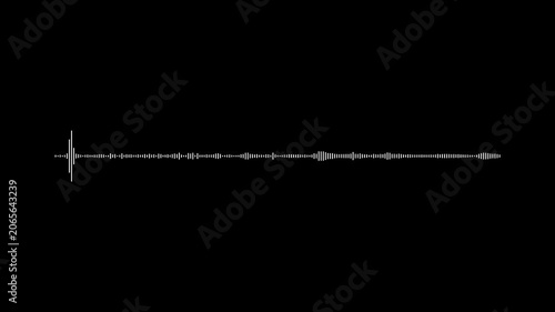 White audio waves isolated on black background. Music equalizer, audio waves or sound frequency in lines, White audio waveform spectrum animation, audio wave or sound frequency digital animation.
