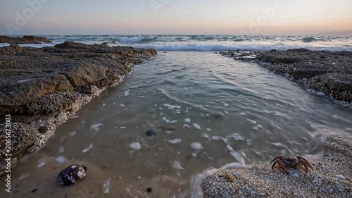 Serene Tide Pool at Sunset with Crabs and Shells