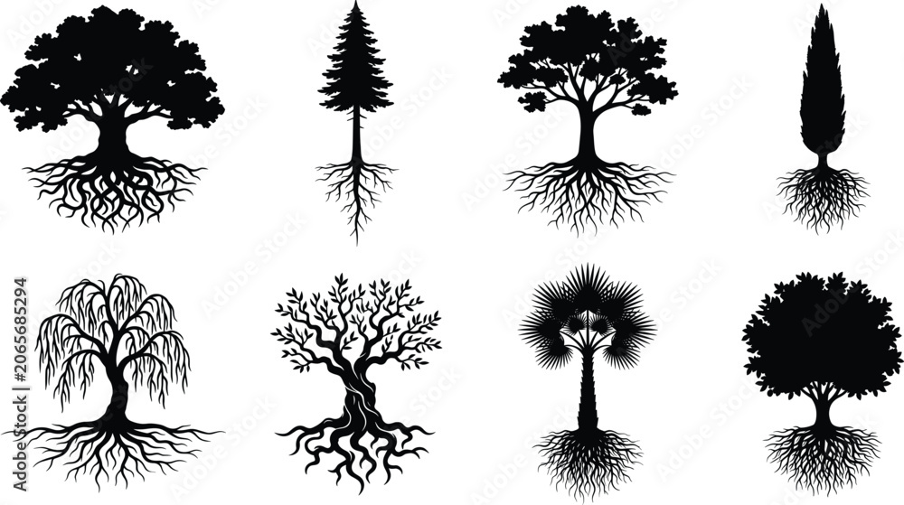 Fototapeta premium Black and white trees with roots vector silhouettes icons set isolated on white background