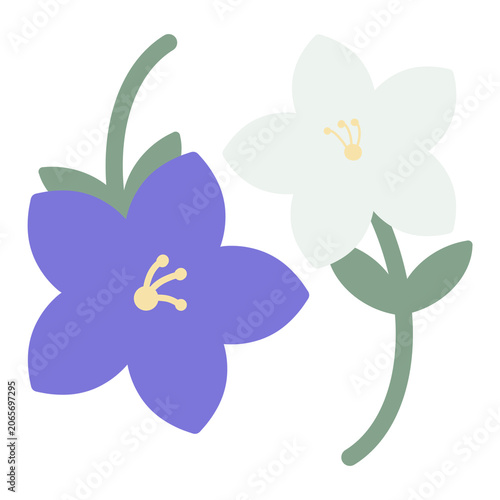 bellflower icon